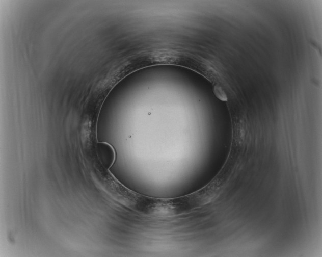 X0000100360263200806061145