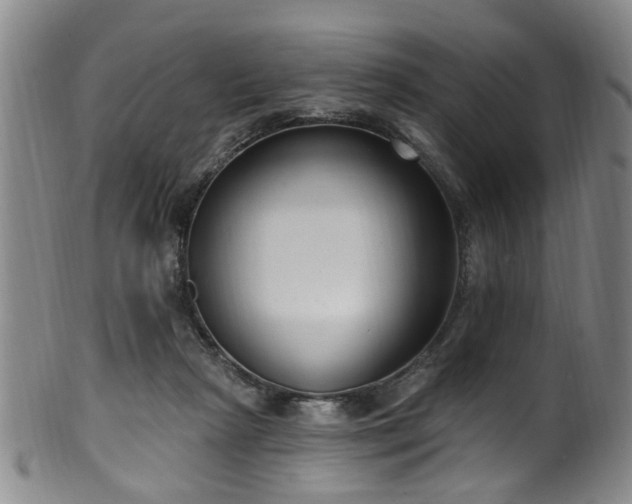 X0000100360265200806061145