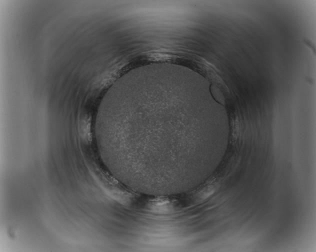 X0000100360267200806061145