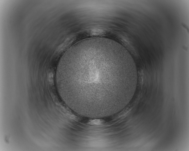 X0000100360269200806061145