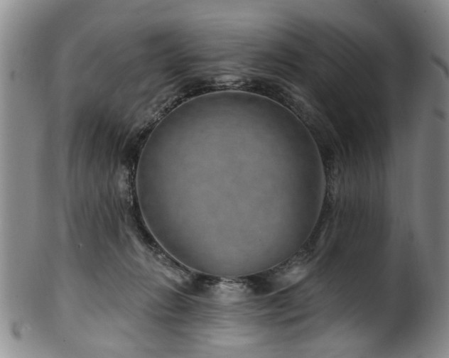 X0000100360270200806061145