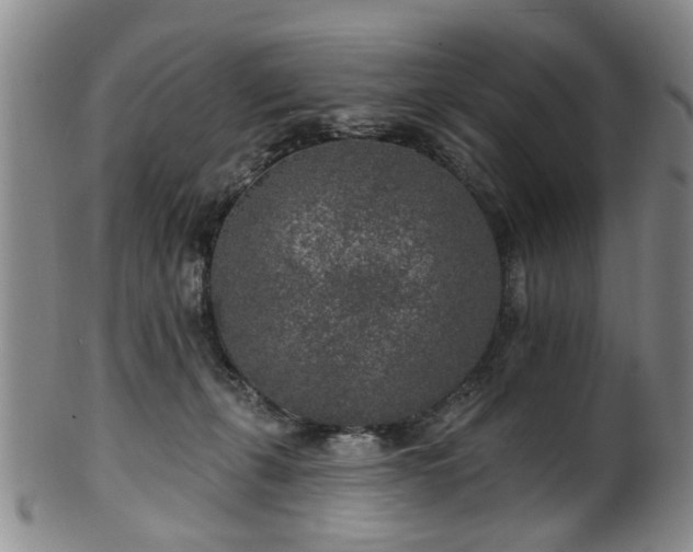 X0000100360271200806061145