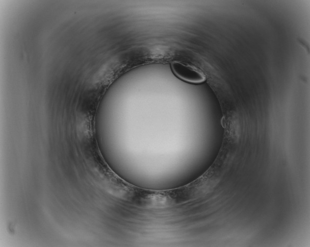 X0000100360272200806061145