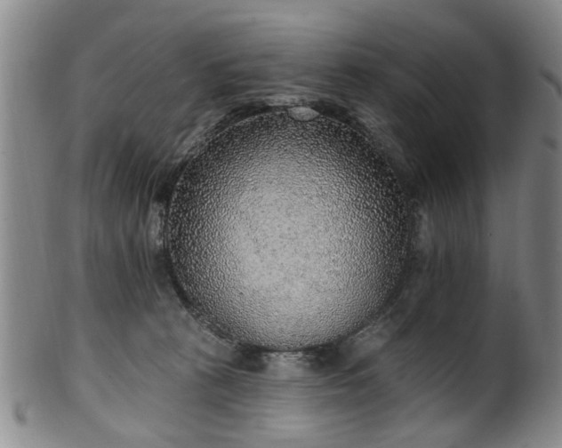 X0000100360273200806061145