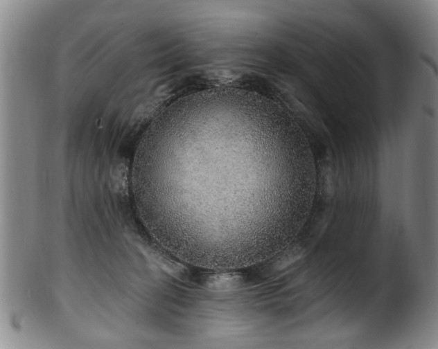 X0000100360274200806061145