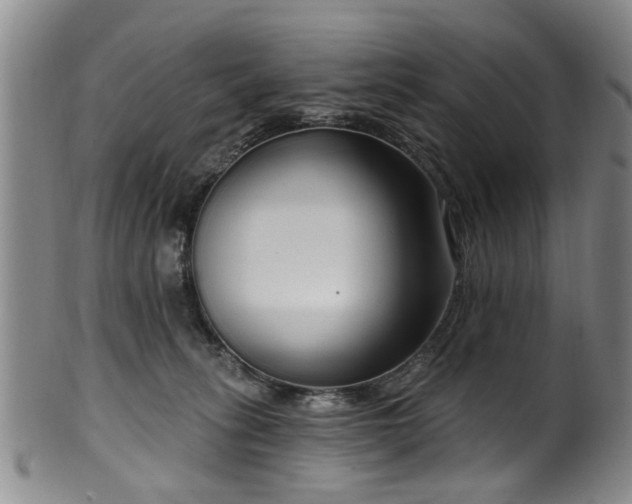 X0000100360275200806061145