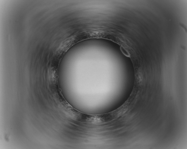 X0000100360276200806061145