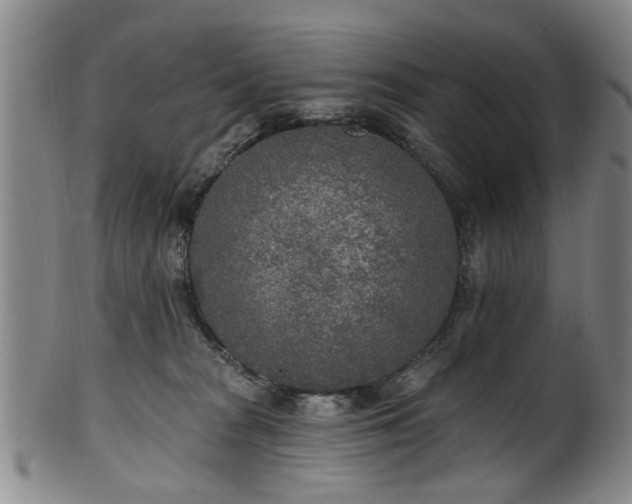 X0000100360277200806061145