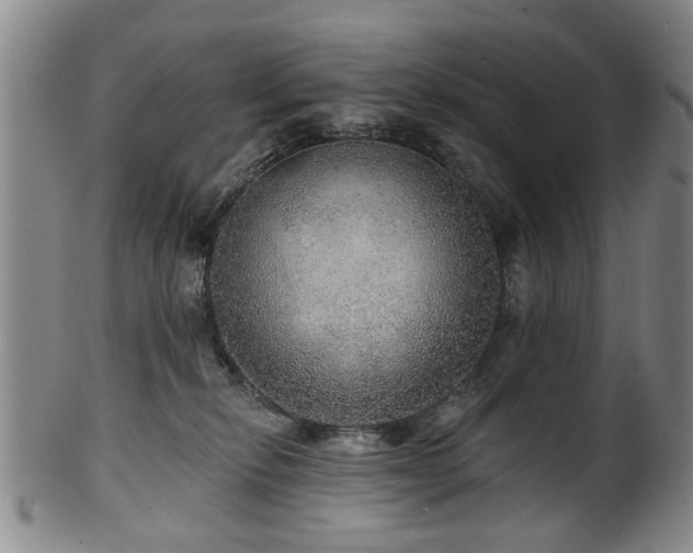 X0000100360278200806061146