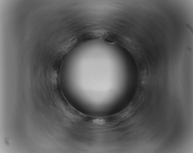 X0000100360279200806061146