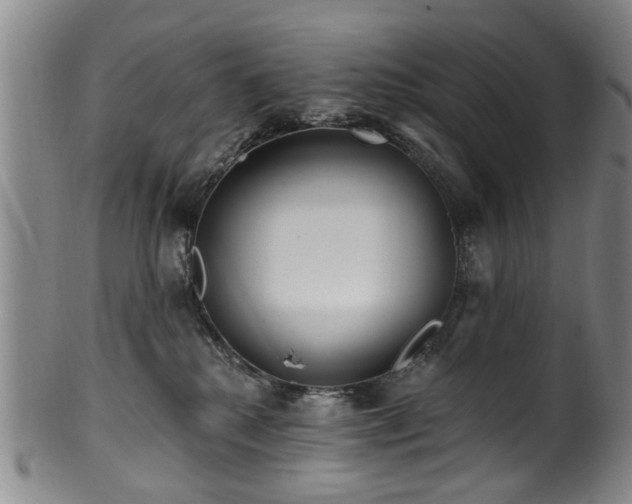 X0000100360280200806061146