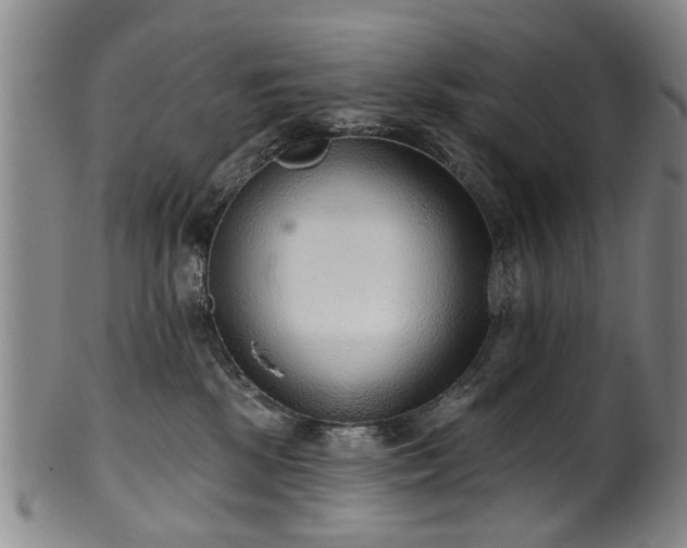 X0000100360281200806061146