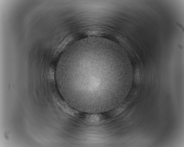 X0000100360282200806061146