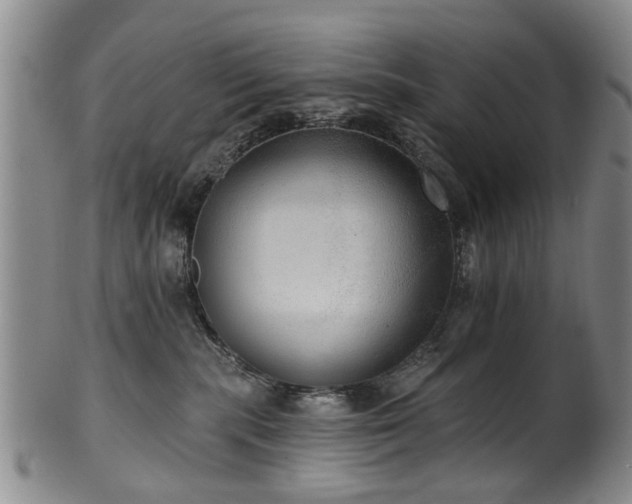 X0000100360283200806061146