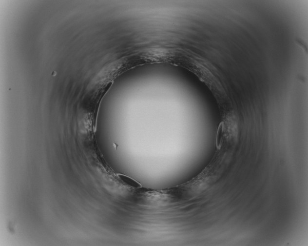 X0000100360284200806061146