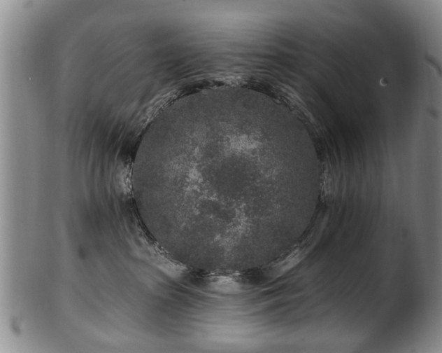 X0000100360285200806061146