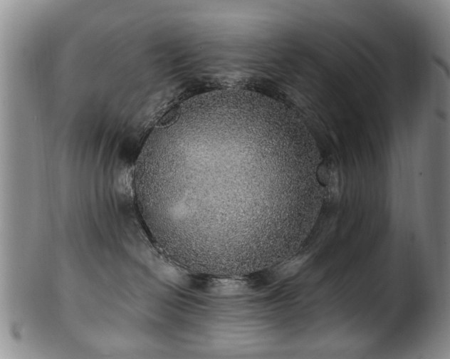 X0000100360286200806061146