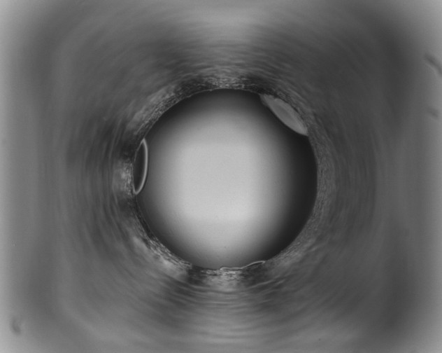 X0000100360288200806061146