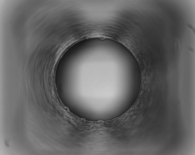 X0000100360289200806061145