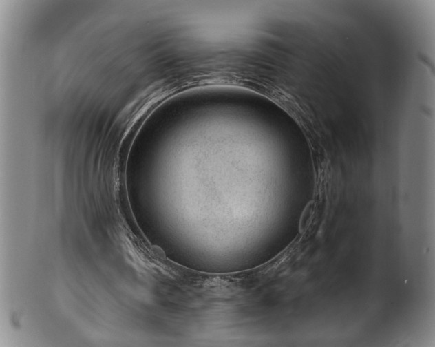 X0000100360290200806061145