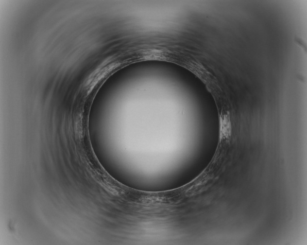 X0000100360291200806061145