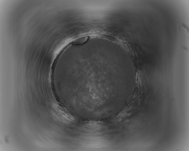 X0000100360292200806061145