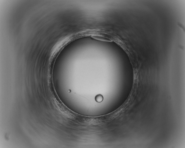 X0000100360293200806061145