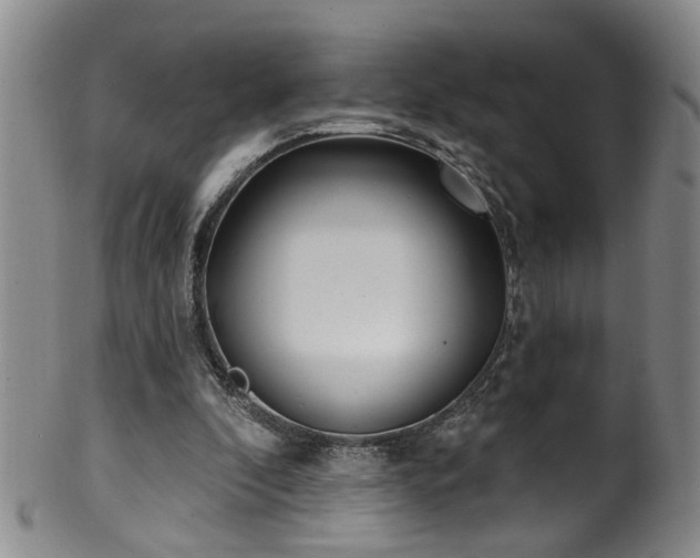 X0000100360296200806061145