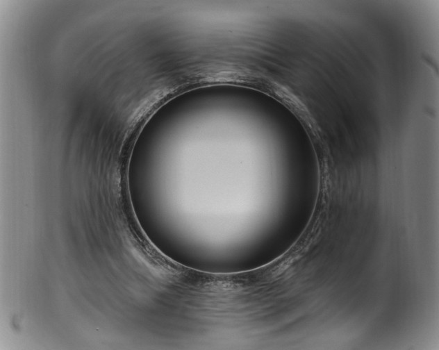 X0000100360298200806061145