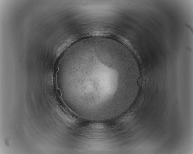 X0000100360299200806061145