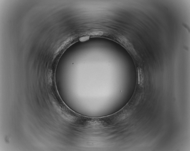 X0000100360300200806061145