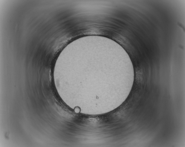 X0000100360302200806061145