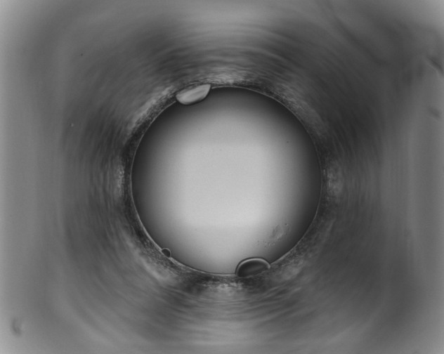 X0000100360304200806061145