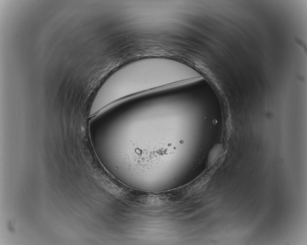 X0000100360305200806061145