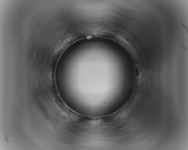 X0000100360306200806061145