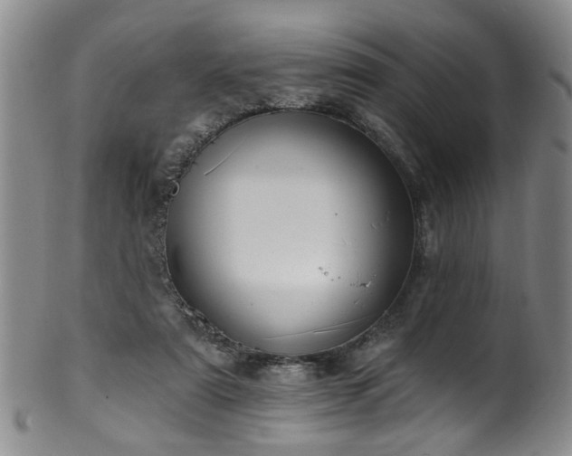 X0000100360307200806061145