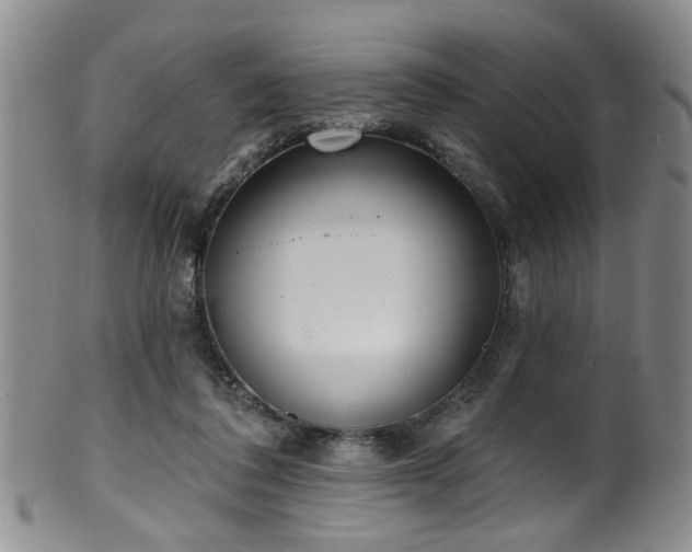 X0000100360308200806061145