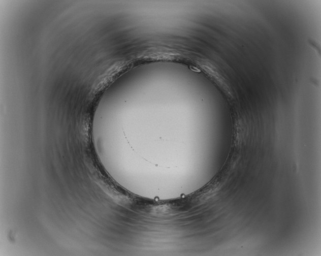 X0000100360309200806061145