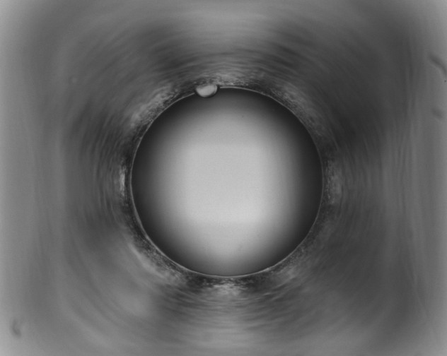 X0000100360310200806061145