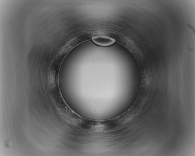 X0000100360312200806061144