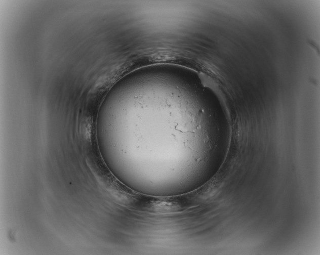 X0000100360315200806061144