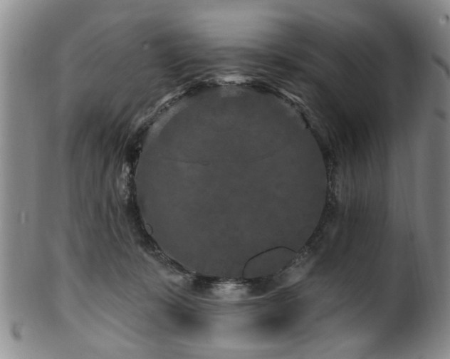 X0000100360319200806061144