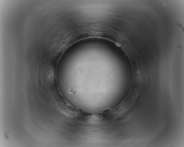 X0000100360320200806061144