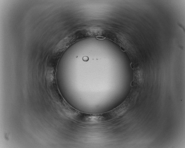 X0000100360323200806061144