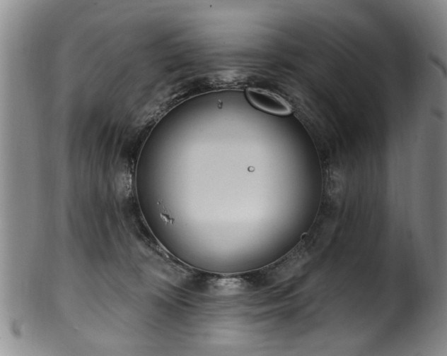 X0000100360324200806061144