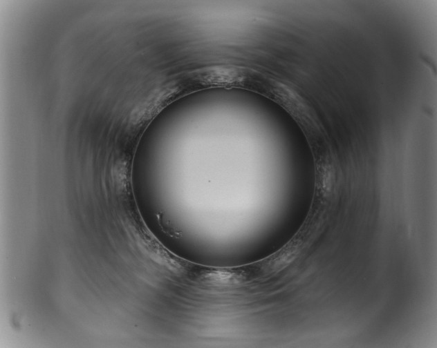 X0000100360326200806061144