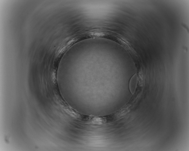 X0000100360330200806061144