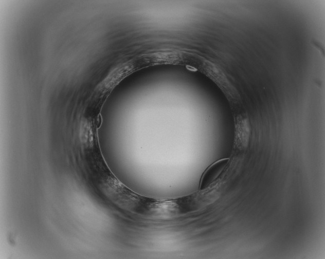 X0000100360333200806061144