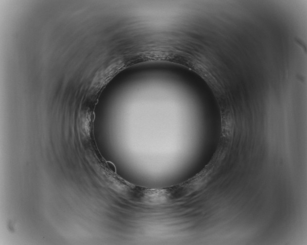 X0000100360334200806061144