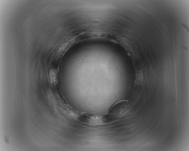 X0000100360335200806061144